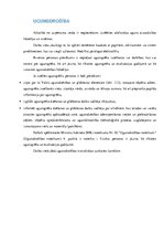 Referāts 'Tīkla pārvaldība, tīkla monitorings', 33.