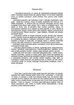 Referāts 'Lielbritānijas vispārējais apskats', 5.