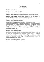 Diplomdarbs 'Mikrouzņēmumu nodokļu optimizācijas iespējas', 2.