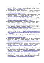 Diplomdarbs 'Mikrouzņēmumu nodokļu optimizācijas iespējas', 96.