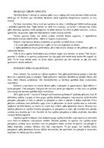 Konspekts 'Vertikālā lēciena augstuma uzlabošanas metodes', 4.