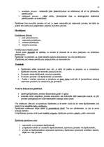 Konspekts 'Civilprocess', 19.