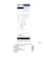 Paraugs 'Transportlīdzekļa ass slodzes aprēķināšana', 20.