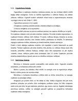 Prakses atskaite 'Vadīšanas funkciju pilnveide uzņēmumā SIA "Klekale"', 9.