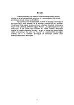 Referāts 'Vilhelms Vunds', 3.