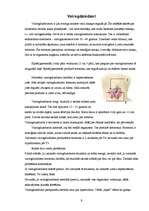 Referāts 'Endokrīnā sistēma', 9.