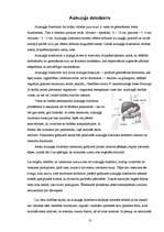 Referāts 'Endokrīnā sistēma', 13.