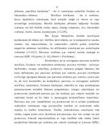 Diplomdarbs 'Krimināltiesības', 13.