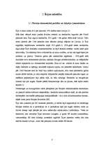 Referāts 'Īrija sociālpolitiskajā skatījumā', 8.