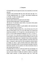 Referāts 'Īrija sociālpolitiskajā skatījumā', 9.