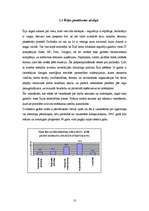 Referāts 'Īrija sociālpolitiskajā skatījumā', 13.