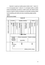 Referāts 'Patstāvīgā darba prasmju pilnveides īpatnības matemātikas nodarbībās sākumskolā', 22.