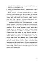 Referāts 'Patstāvīgā darba prasmju pilnveides īpatnības matemātikas nodarbībās sākumskolā', 29.