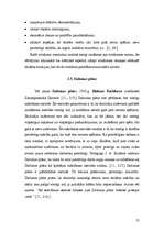 Referāts 'Patstāvīgā darba prasmju pilnveides īpatnības matemātikas nodarbībās sākumskolā', 31.