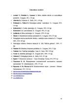 Referāts 'Patstāvīgā darba prasmju pilnveides īpatnības matemātikas nodarbībās sākumskolā', 43.