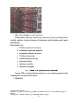 Diplomdarbs 'Apjoma palielināšanas iespējas veikalā "Jysk"', 13.