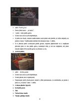 Diplomdarbs 'Apjoma palielināšanas iespējas veikalā "Jysk"', 14.