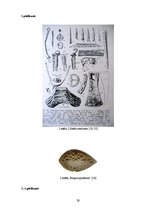 Referāts 'Lībieši Latvijā', 29.