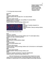 Referāts 'Uzturs - veselību ietekmējošs faktors', 12.