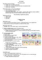 Konspekts 'Šūnu komunikācija', 1.