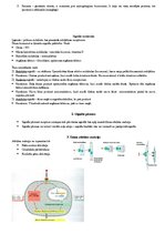 Konspekts 'Šūnu komunikācija', 2.
