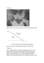Paraugs 'Inženiermateriāli - tēraudu mikrostruktūras analīze', 4.