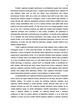 Diplomdarbs 'Aizsargjoslas - būtība, mērķi, ietekme', 43.