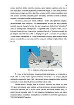 Diplomdarbs 'Aizsargjoslas - būtība, mērķi, ietekme', 44.