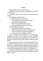 Referāts 'Cēsu rajona padomes 2003.gada budžeta analīze', 4.
