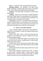 Referāts 'Cēsu rajona padomes 2003.gada budžeta analīze', 9.