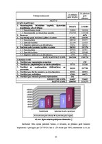 Referāts 'Cēsu rajona padomes 2003.gada budžeta analīze', 20.
