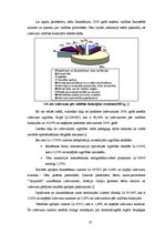 Referāts 'Cēsu rajona padomes 2003.gada budžeta analīze', 27.