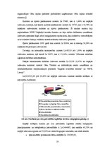 Referāts 'Cēsu rajona padomes 2003.gada budžeta analīze', 28.