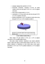 Referāts 'Cēsu rajona padomes 2003.gada budžeta analīze', 29.