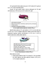 Referāts 'Cēsu rajona padomes 2003.gada budžeta analīze', 32.