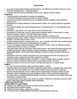 Prezentācija '19.gadsimta literatūra', 33.