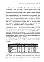 Biznesa plāns 'Biznesa plāns', 19.