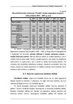 Biznesa plāns 'Biznesa plāns', 29.