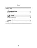 Referāts 'Birokrātija', 2.