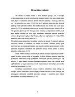 Referāts 'Birokrātija', 4.