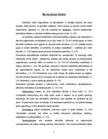 Referāts 'Birokrātija', 5.