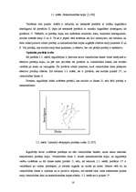 Referāts 'Vērtspapīru portfeļa vadīšana', 16.