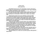 Eseja 'Mans pašportrets', 1.