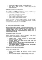 Konspekts 'Startapa izveide un inovācijas vadība – biznesa ideju attīstība, investoru piesa', 12.