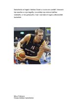 Konspekts 'Eiropas labākais basketbolists - Dirks Novickis', 7.