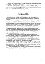 Referāts 'Pirmais iespaids. Ārējais izskats', 6.