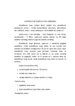 Biznesa plāns 'Biznesa plāns apbedīšanas birojam', 4.