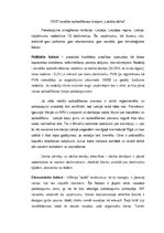 Biznesa plāns 'Biznesa plāns apbedīšanas birojam', 20.