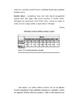 Biznesa plāns 'Biznesa plāns apbedīšanas birojam', 21.