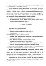 Referāts 'Apdrošināšanas sabiedrības Latvijā un to pakalpojumu novērtējums', 11.